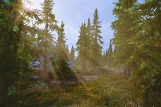 Image result for Kwanon ENB