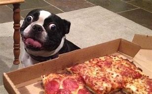 Image result for Funny Food Photos