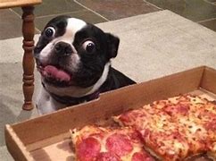 Image result for Funny Food