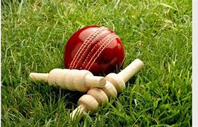 Image result for Long Stop Cricket