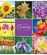 Image result for Large Monthly Wall Calendar