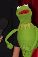 Image result for Funny Kermit Photos