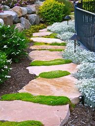 Image result for Stepping Stone Design Ideas