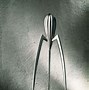 Image result for Philippe Starck Wildest Designs