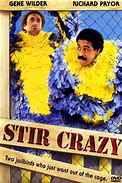 Image result for Stir Crazy Movie Cast