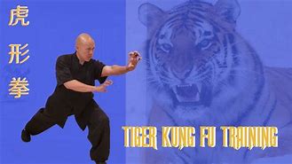Image result for Tiger Human Form Kung Fu