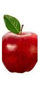 Image result for What Is a Apple Fruit