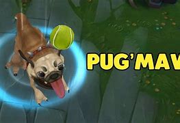 Image result for LOL Pugs