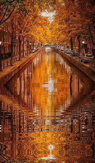 Image result for Amsterdam Canals