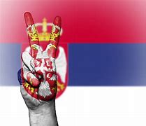 Image result for Serbia Flagg