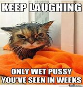 Image result for Inappropriate Funny Cat Memes
