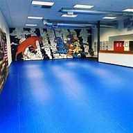 Image result for Jiu Jitsu Gym