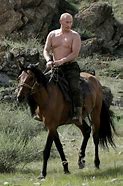 Image result for Vladimir Putin On Bear