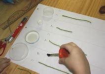 Image result for Measurement Kindergarten