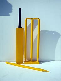 Image result for Mini Cricket Pitch Set