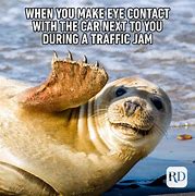 Image result for Funny Memes 2020 with Animals Shores