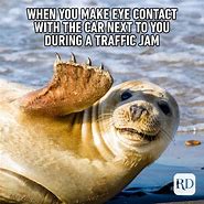 Image result for Funny Wild Animal Memes