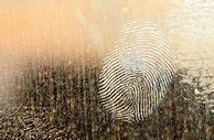 Image result for Office Glass Door Fingerprint Lock