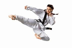 Image result for Best Martial Arts for Women