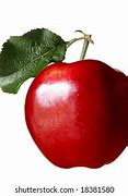Image result for Red Delicious Apple Tree Leaves