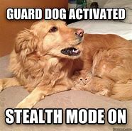 Image result for Cat Dog Memes