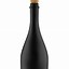 Image result for Silver and Black Champagne Bottle