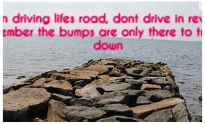 Image result for Slow Drivers Quotes