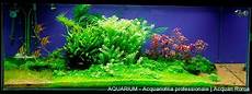 vasche aperte per acquari realizzazione di acquari su misura roma aquarium vasche aperte per acquari realizzazione di acquari su misura roma aquarium