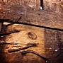 Image result for Rustic Wood Texture Wallpaper