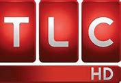 Image result for TLC HD Logo