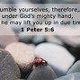 Image result for Free Clip Art 1 Peter 5