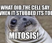 Image result for iPhone Mitosis Meme
