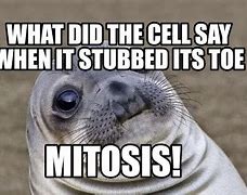 Image result for Split Off by Mitosis Meme