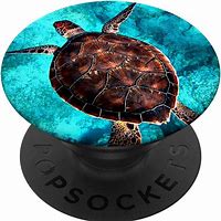 Image result for Turtle Popsocket