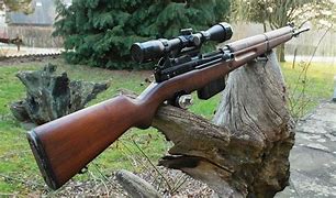 Image result for fusil