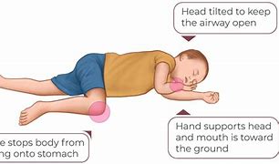 Image result for Recovery Position in CPR