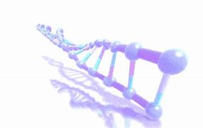 Image result for DNA Nanotechnology