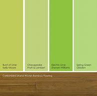 Image result for Lime Green Wall Paint Colors