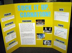 Image result for Good Science Fair Project Ideas