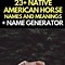 Image result for American Horse Name