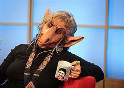 Image result for Donkey Lady Bridge Attack