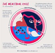 Image result for Scientific Cycle