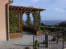 tettoie in legno per terrazze coperture per terrazze pergole e tettoie da giardino tettoie in legno per terrazze coperture per terrazze pergole e tettoie da giardino