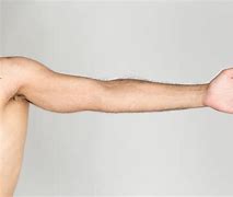 Image result for 30-Day Arm Workout