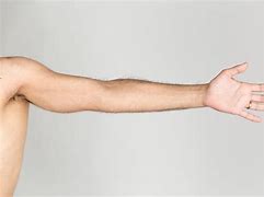 Image result for Reaching Hands and Arm Clip Art