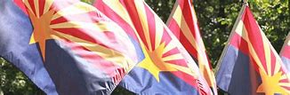 Image result for New Arizona Flag