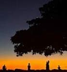 Image result for Sunset Silhouette Black and White