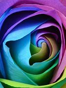 Image result for Flower iPad Wallpaper Free Download