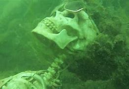 Image result for Human Remains Found in Shipwrecks