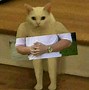 Image result for I Should Cat Meme